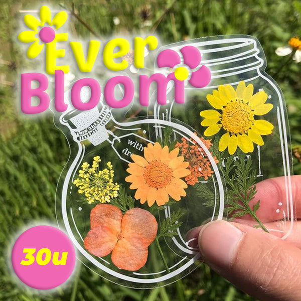 EverBloom™ - Postales florales y naturales