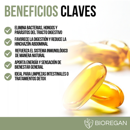 BIOREGAN™ - Equilibrio, energía y bienestar de adentro hacia afuera