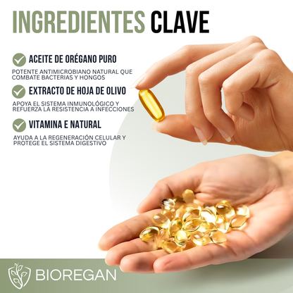 BIOREGAN™ - Equilibrio, energía y bienestar de adentro hacia afuera