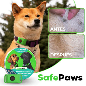 SafePaws™ - Collar antipulgas para perros 100% natural