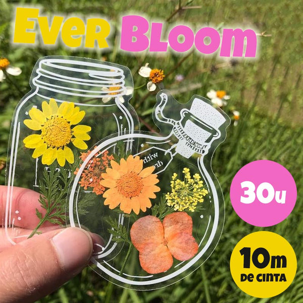 EverBloom™ - Postales para preservar flores y hojas